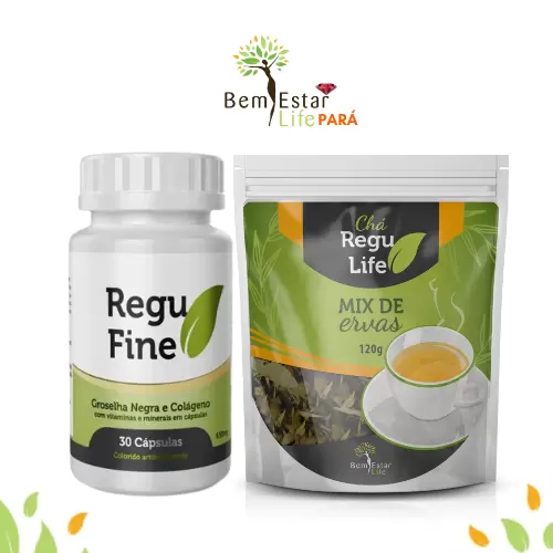 REGU FINE GROSELHA NEGRA ORIGINAL E CHÁ REGU LIFE 120G